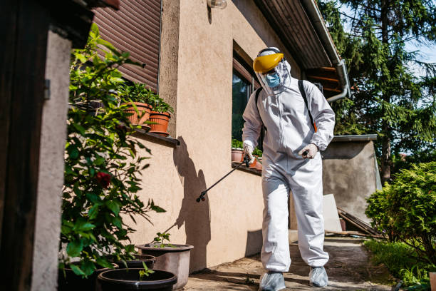 Best Emergency Pest Control  in Alamo, CA