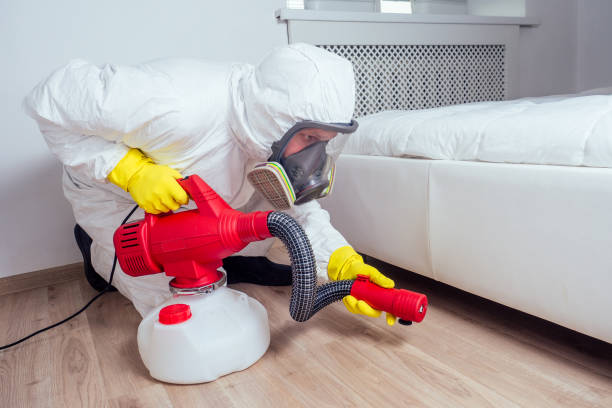 Best Residential Pest Control  in Alamo, CA