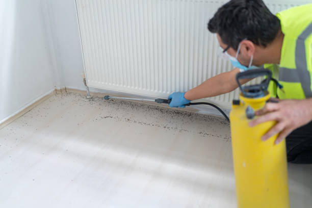 Best Mosquito Control Services  in Alamo, CA